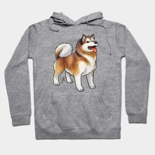 Dog - Alaskan Malamute - Red and White Hoodie